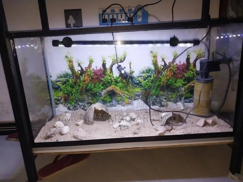 2.5 Ft Fish Tank Set