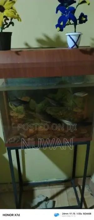 Fish Tank with