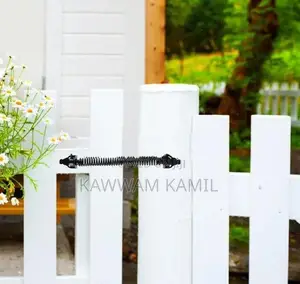 Carbon Steel Gate Spring
