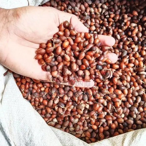 කුරැදු ඇට