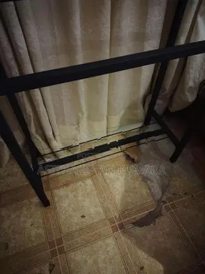 රෙදි රුක්