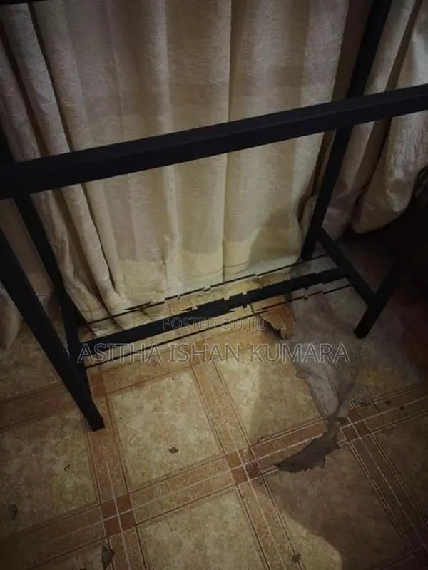 රෙදි රුක්