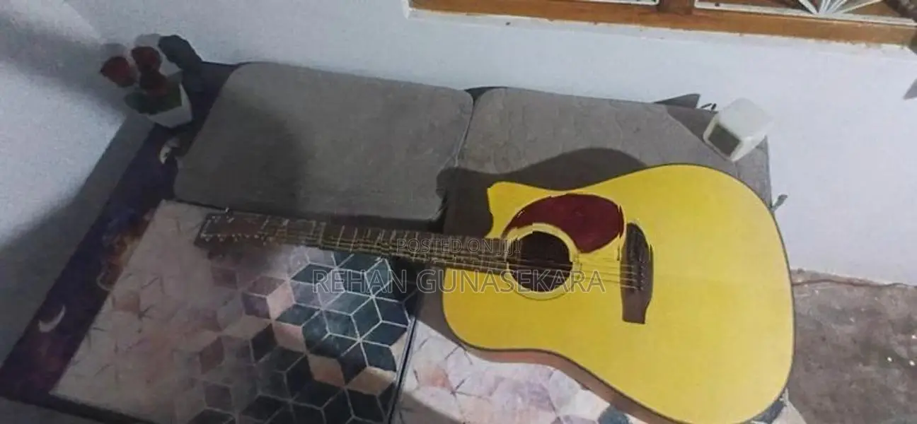 Martin and Co Guitar