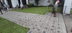 Malaysian Grass