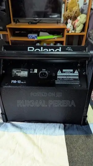 Roland PM-10