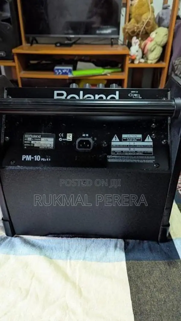 Roland PM-10