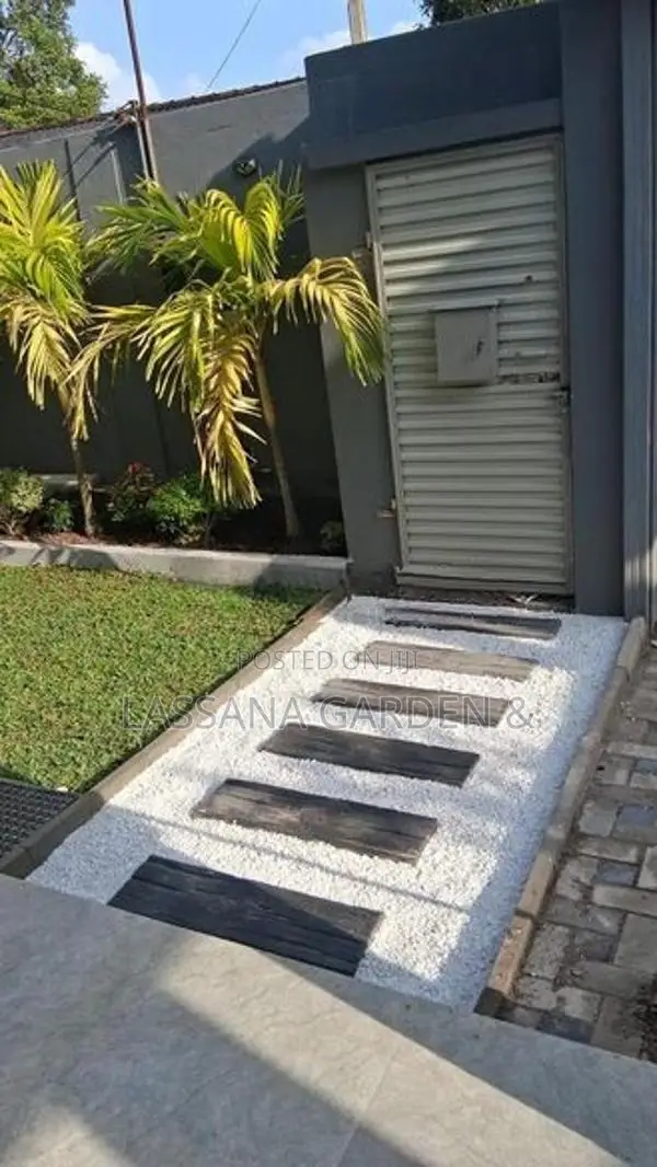 Malaysian Grass