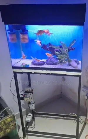 Fish Tank