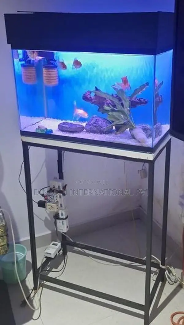 Fish Tank