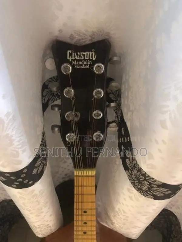 Givson Mandolin
