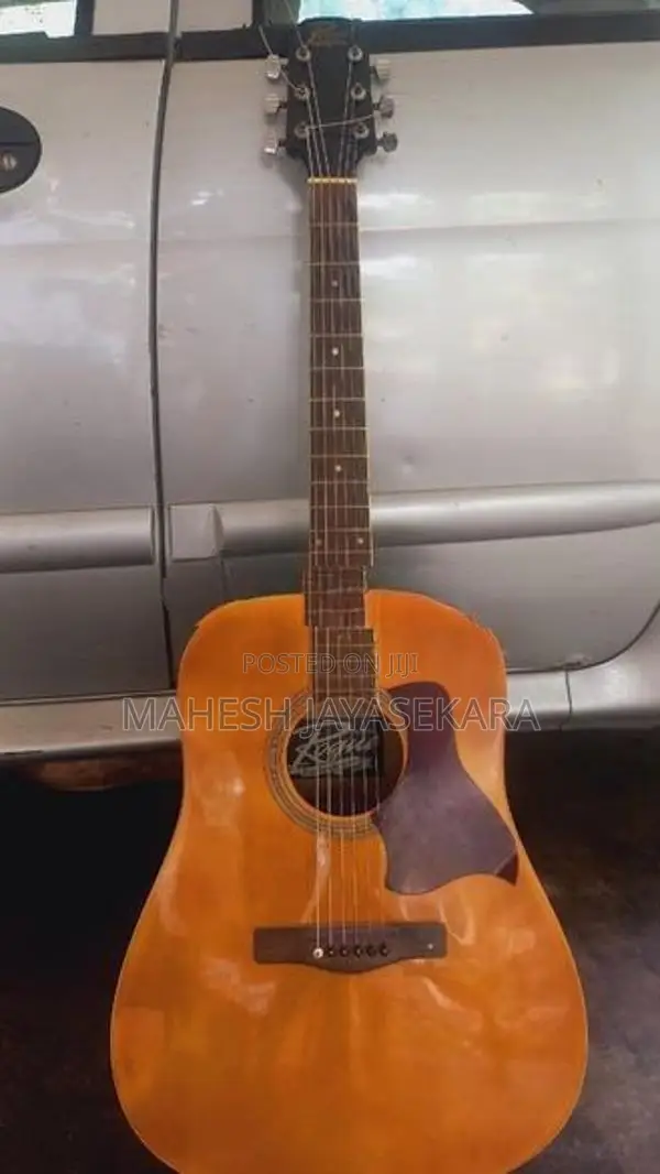 Semi acoustic guitar