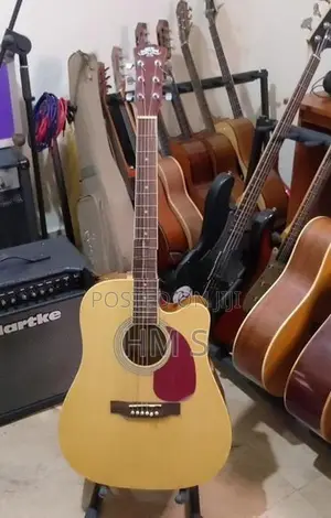 Acoustic guitar