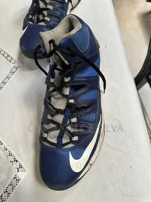Nike Air max Blue