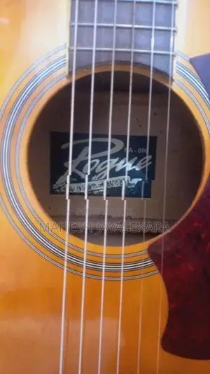 Semi acoustic guitar