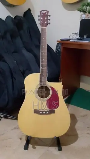 Acoustic guitar