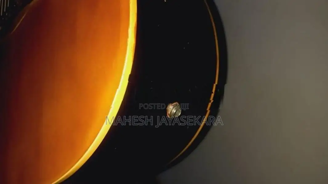Semi acoustic guitar