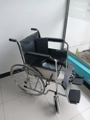 Lizzy B Wheelchair with Commode