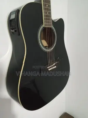 Suzuki Semi Accoustic Guitar