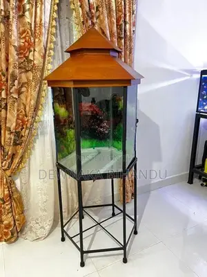 New Fish Tank