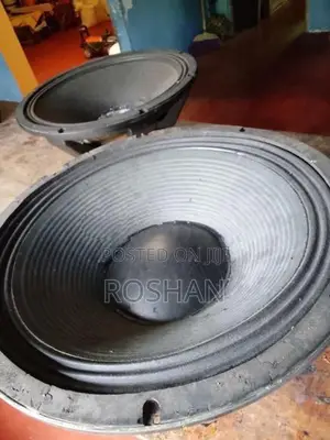 18 inch Speakers
