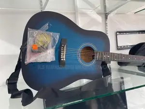 Guitar with Bag