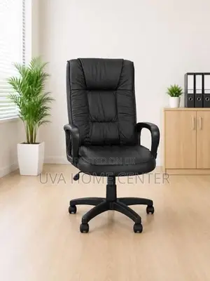 Director Office Chair Esh001