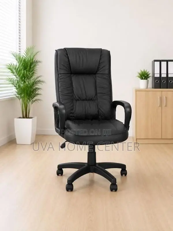 Director Office Chair Esh001