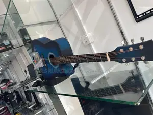 Guitar with Bag