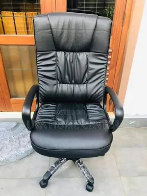 Director Office Chair Esh001