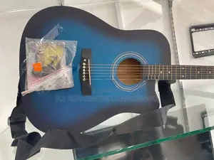 Guitar with Bag