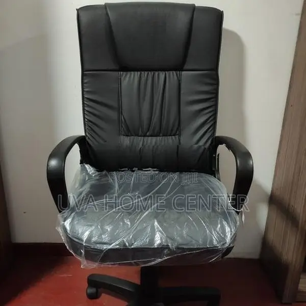 Director Office Chair Esh001