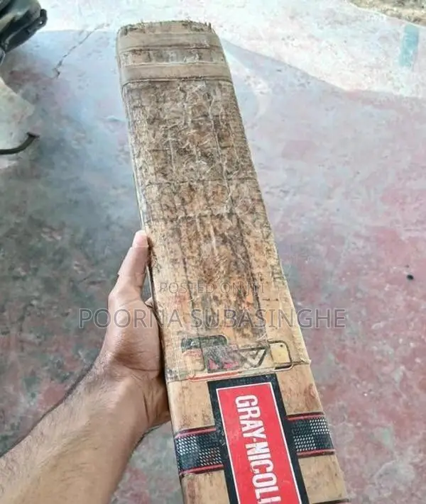 Gray-Nicolls Hard Ball Bat