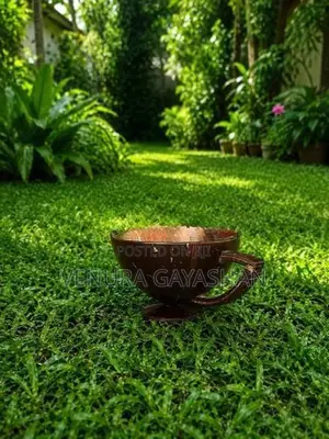 coconut shell cup - bulk for hotels