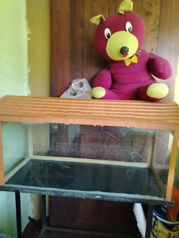 3 Feet Fish Tank