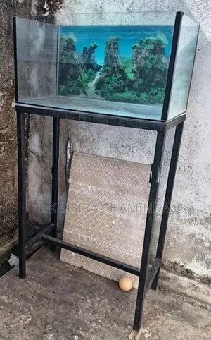 Fish Tank with Stand
