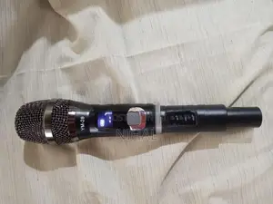 Universal Dual Wireless Mic