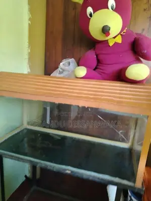3 Feet Fish Tank