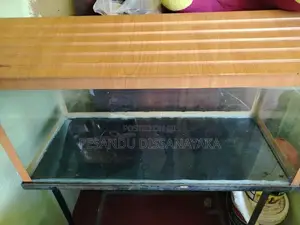 3 Feet Fish Tank