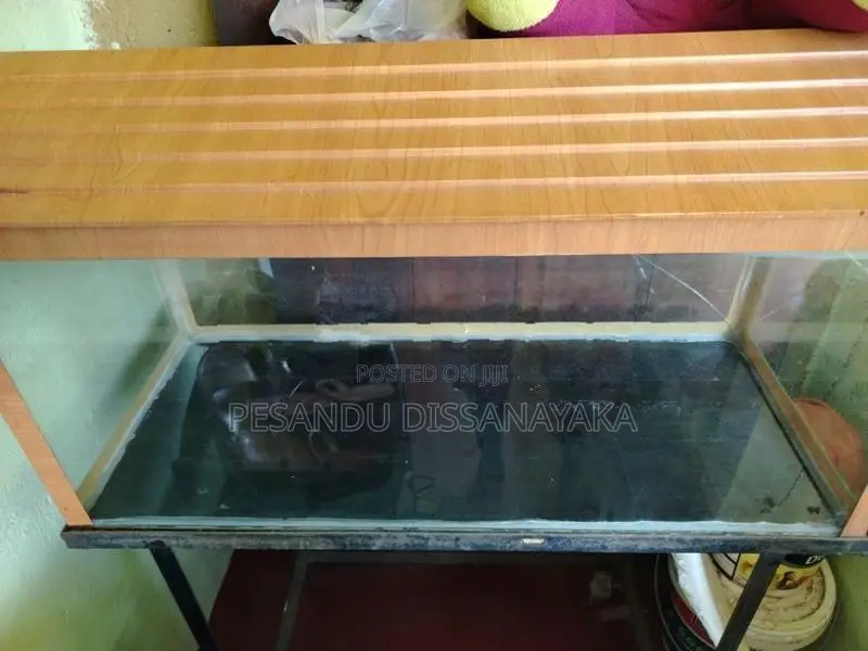 3 Feet Fish Tank