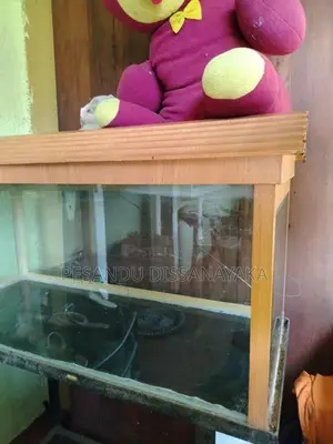 3 Feet Fish Tank