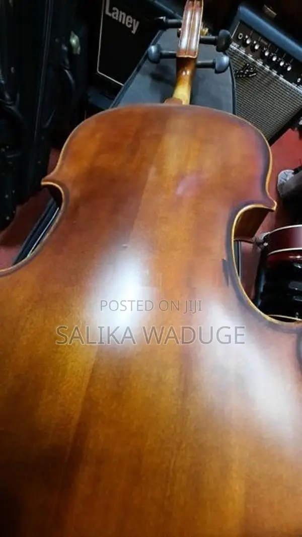 Violin