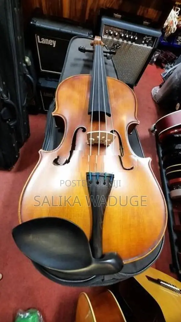 Violin