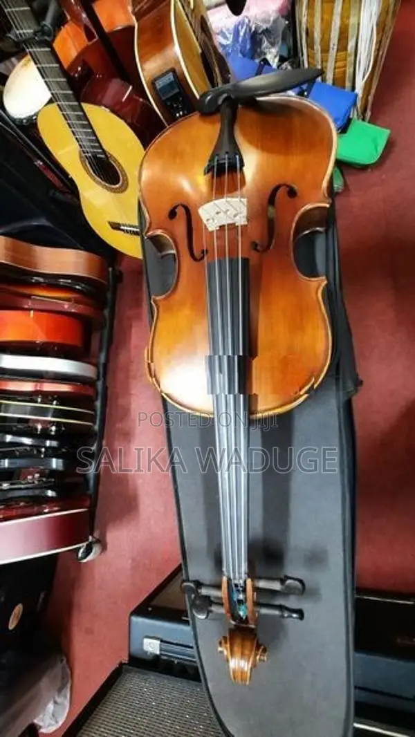 Violin