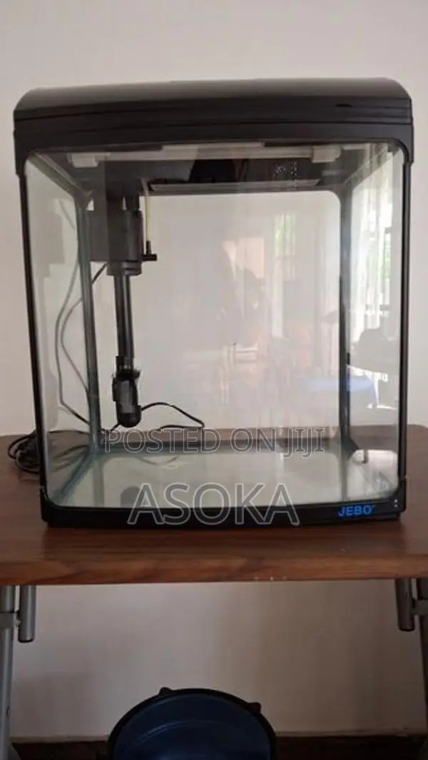 Fish Tank