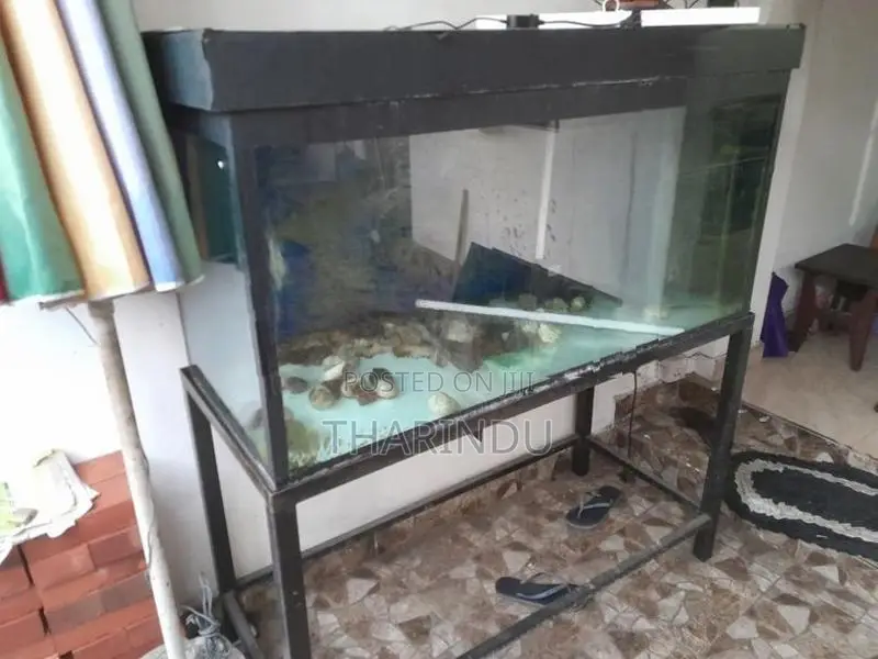 Fish Tank with Stand 4ft