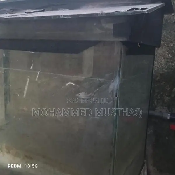 Fish Tank