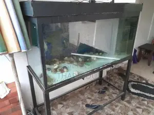 Fish Tank with Stand 4ft
