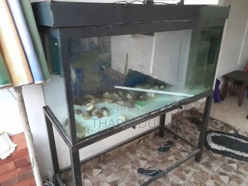 Fish Tank with Stand 4ft