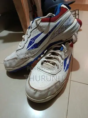 Cricket Equipments