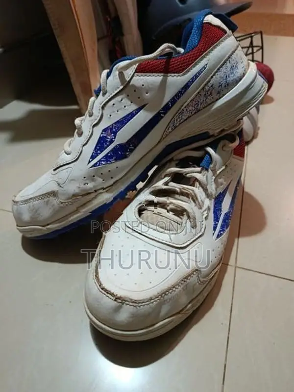 Cricket Equipments